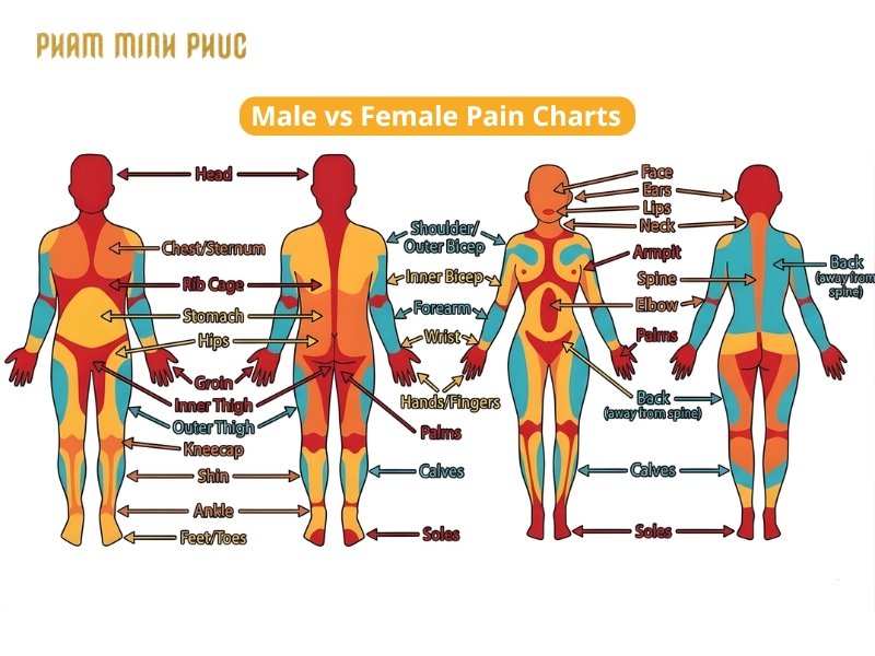 Male vs Female Pain Charts