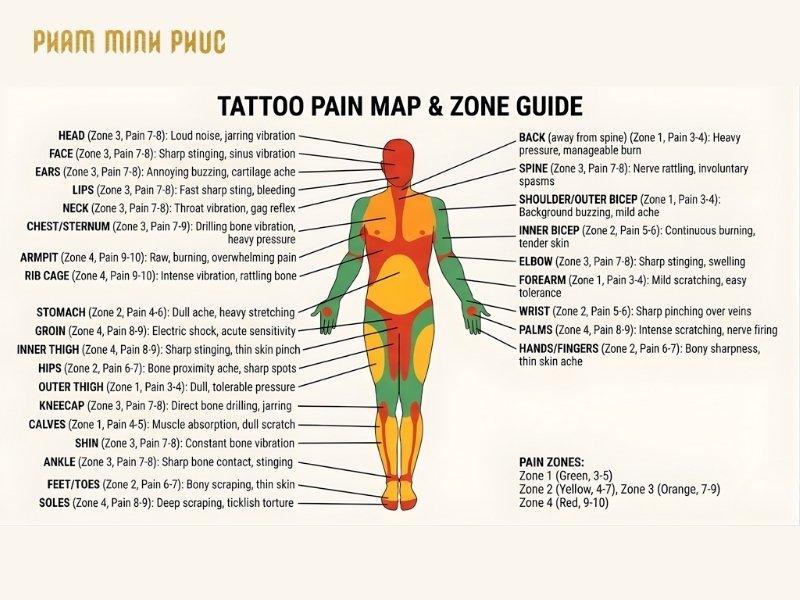 Tattoo pain map and zone guide