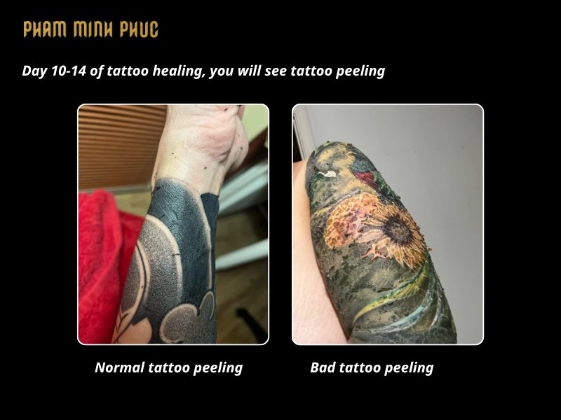 peeling appears in day 10 to day 14 of tattoo healing