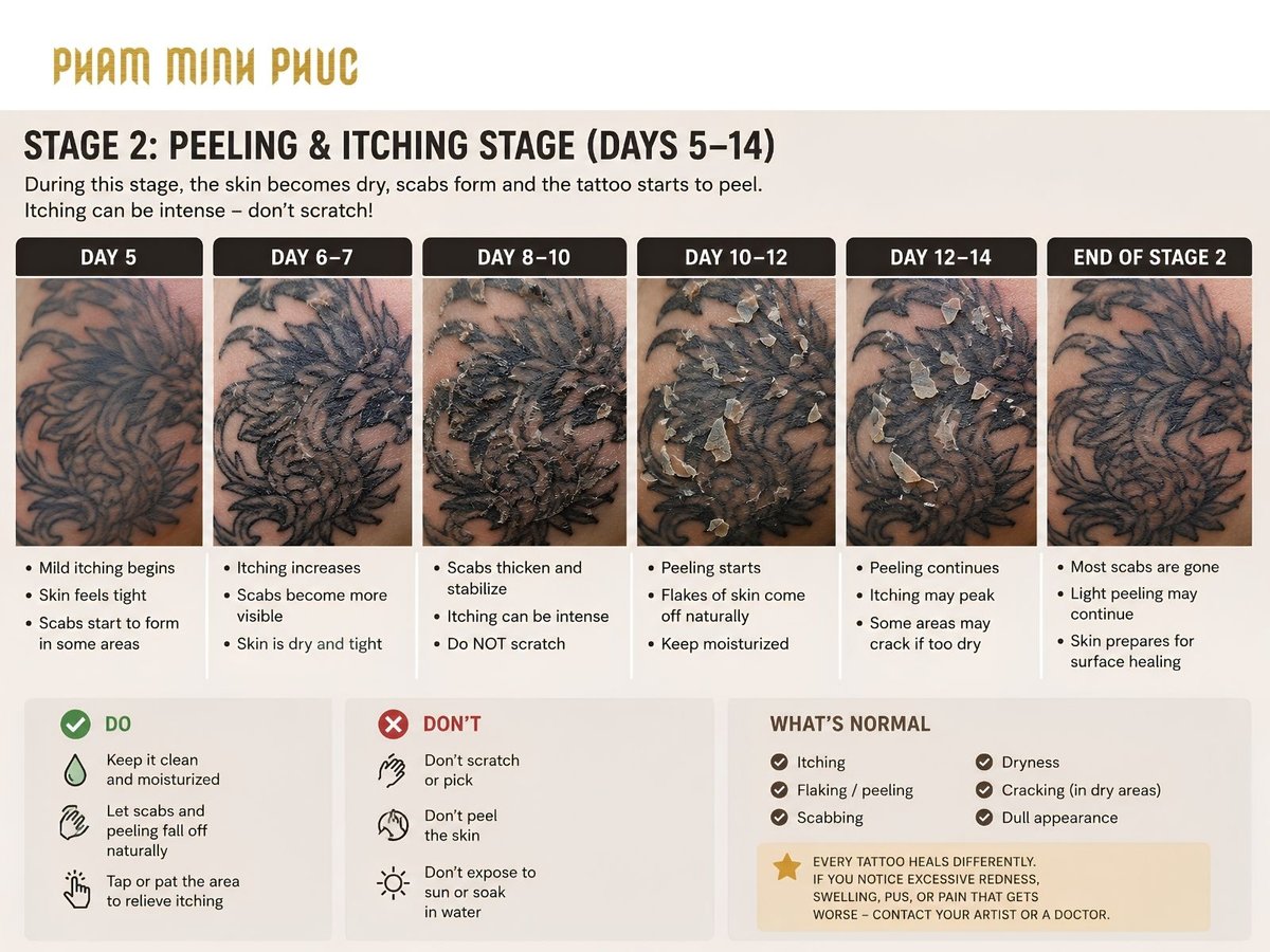 Stage 2 of tattoo healing