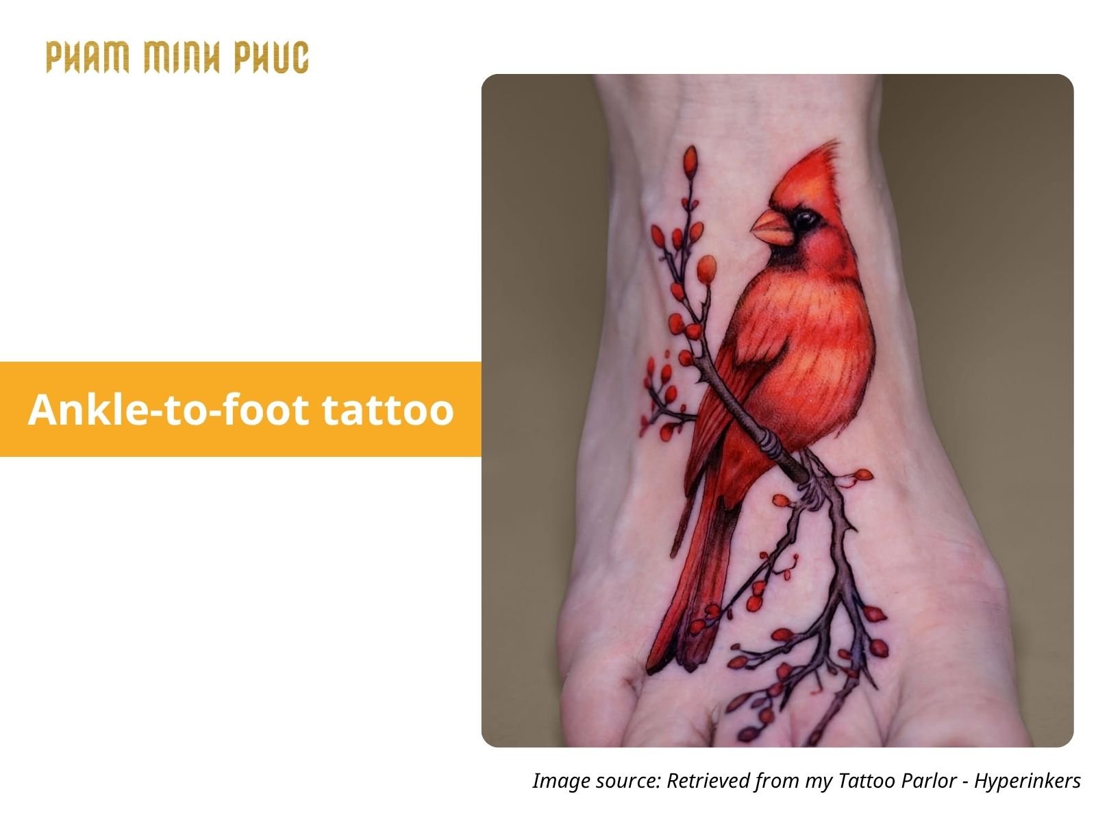 color bird ankle-to-foot tattoo